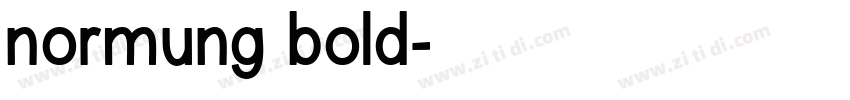 normung bold字体转换